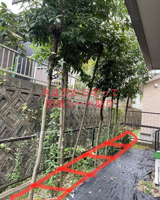 画像254