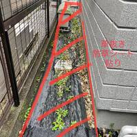 画像256