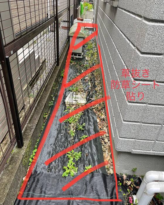 画像256