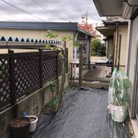 画像257