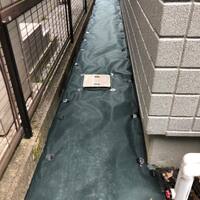 画像259