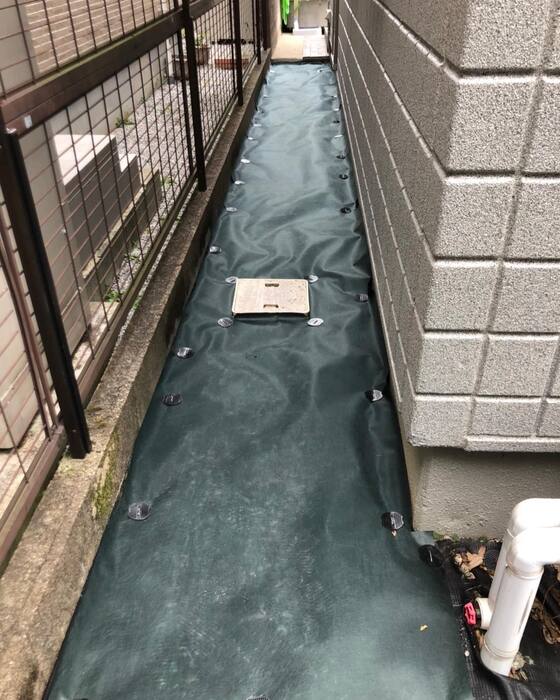 画像259