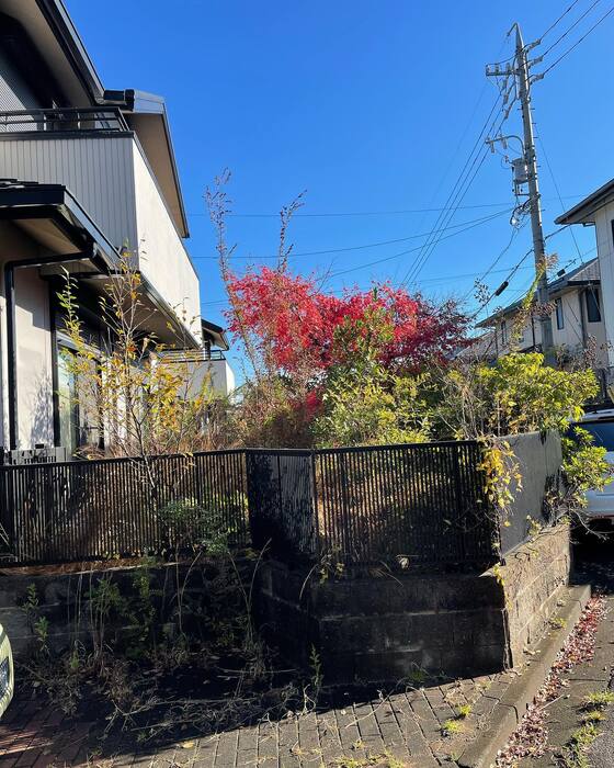 画像263