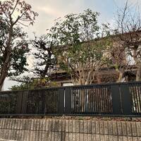 画像277