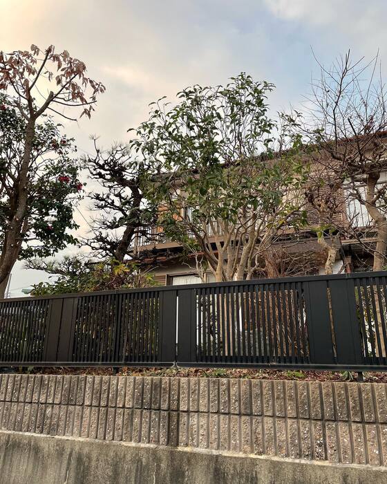 画像277
