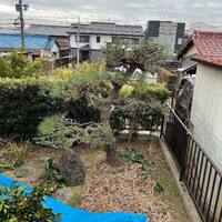 画像288