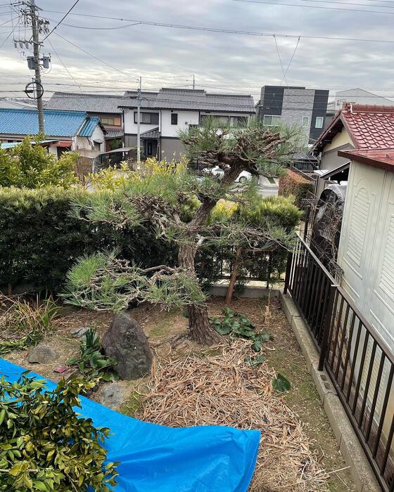 画像288