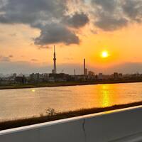 画像316