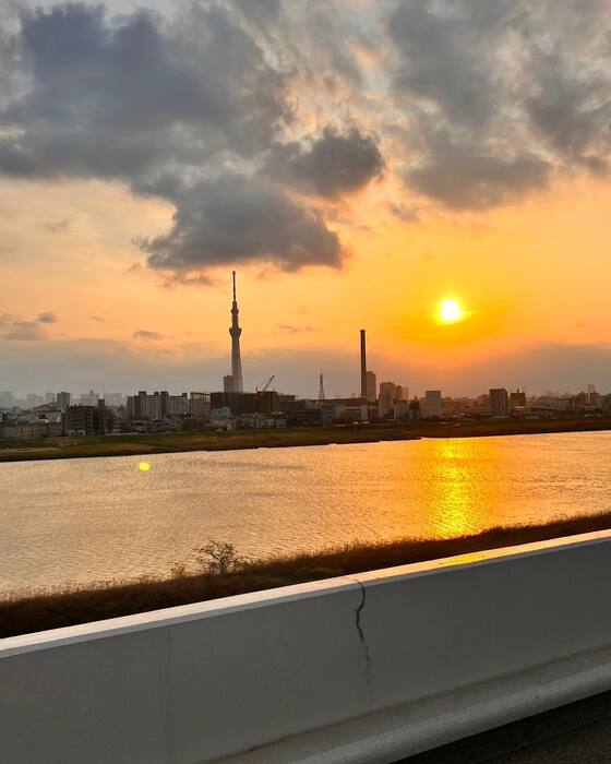 画像316