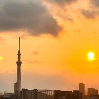 画像317