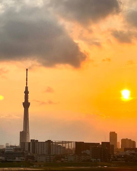 画像317