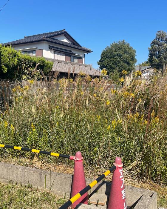 画像374